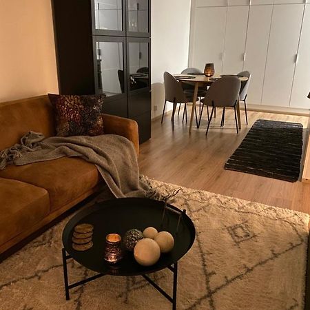 Amazing City Center Apartment Рованиеми Экстерьер фото