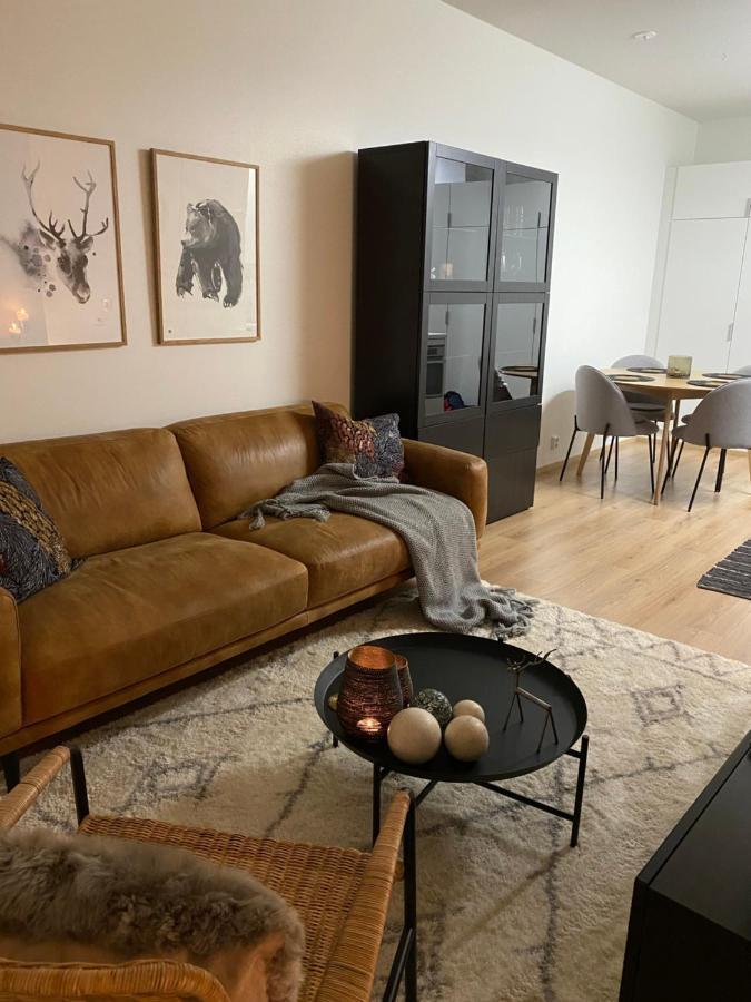 Amazing City Center Apartment Рованиеми Экстерьер фото