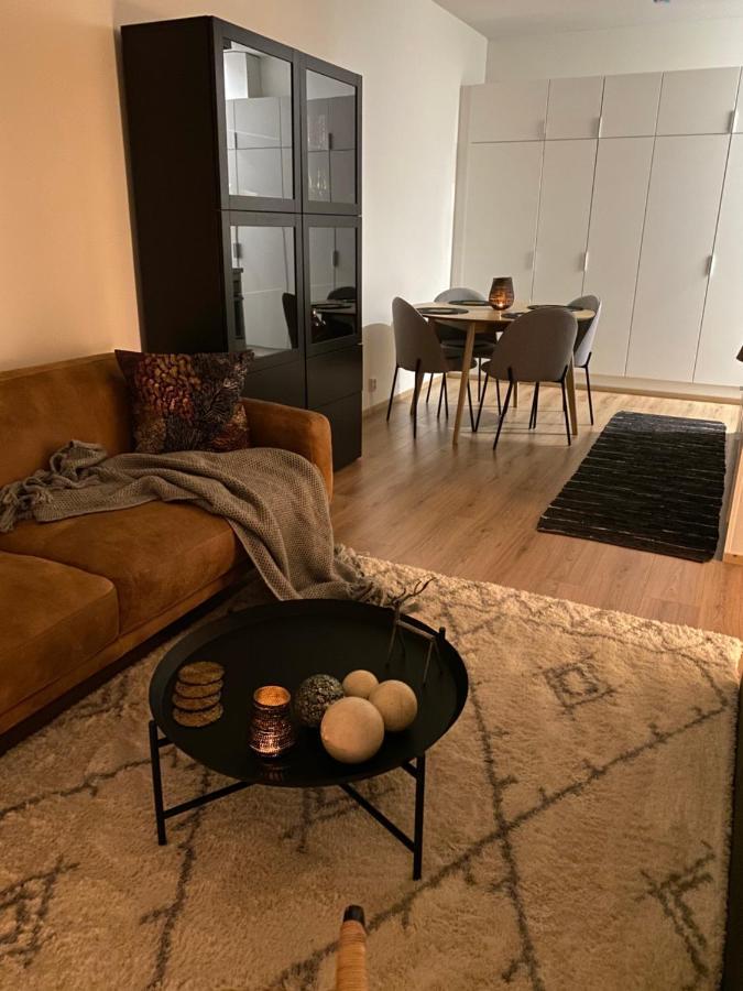 Amazing City Center Apartment Рованиеми Экстерьер фото